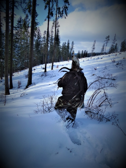 Horou sa naše stopy stratia...