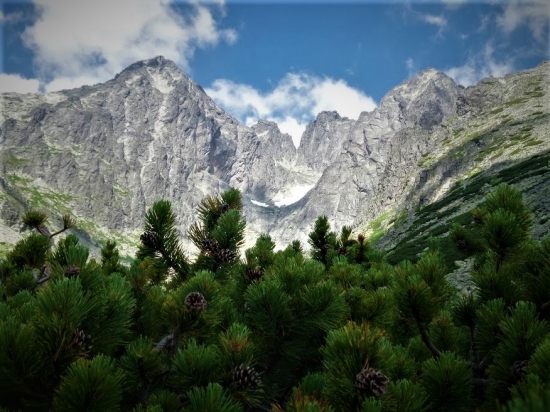 Naše krásne veľhory...