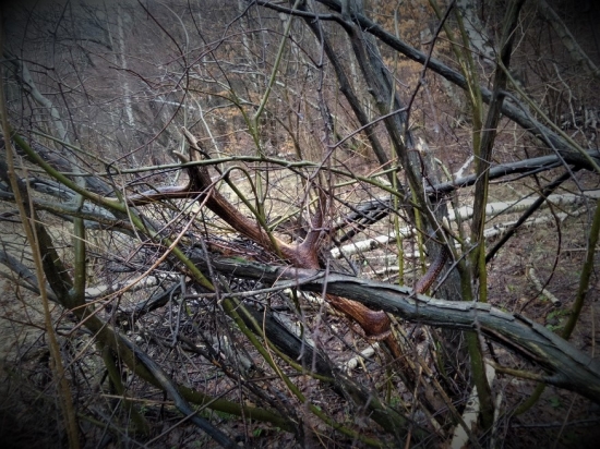 Zaujímavý nález...