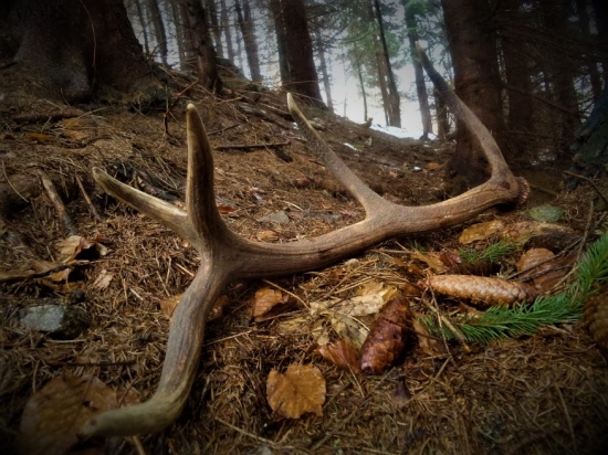 Nádejný mladík...