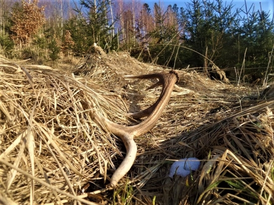 Víkend v horách...