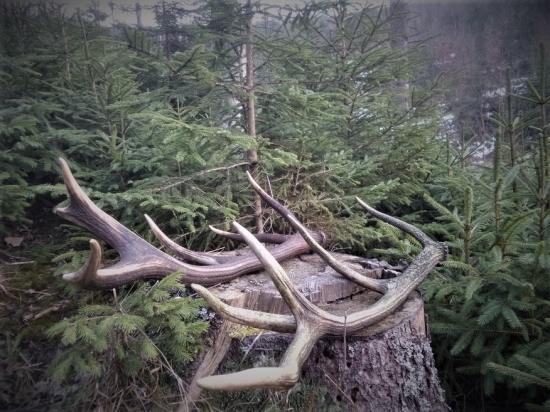 Poklady tajomných hôr...