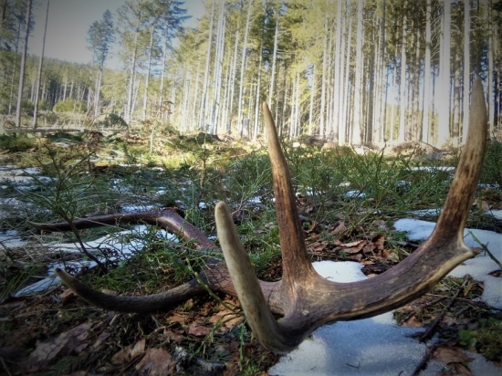 Aprílová nedeľa...