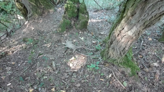 Dozber prvý pohľad