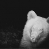 Na občiansky preukaz