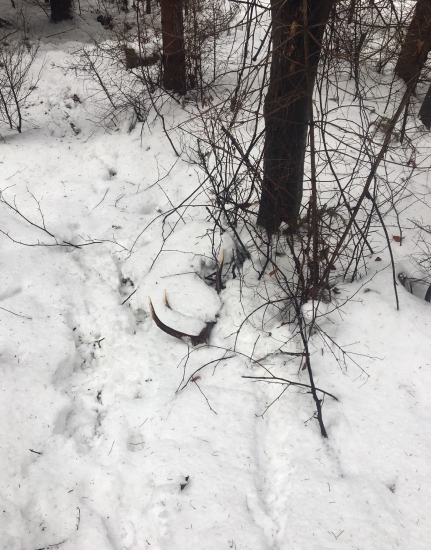 Neležal ani minútu ☺️ Ešte teplý (marec 2018)