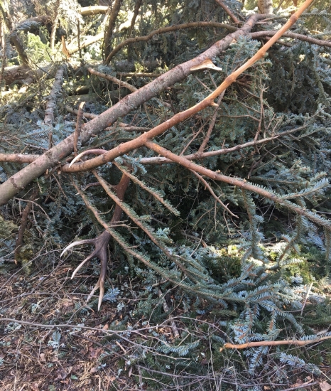 Keď ti jeden pohľad zmení deň na krajší ...