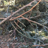 Keď ti jeden pohľad zmení deň na krajší ...