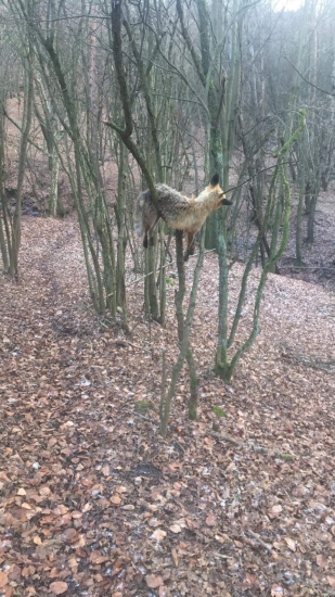 Takto som ju našiel