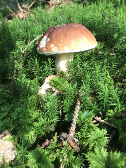 Už pomaly začínajú