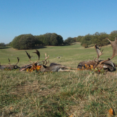 Velmi uspešny vikend na Morave