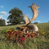 Strieborny uspech 2019