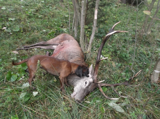 Koniec dobry všetko dobre