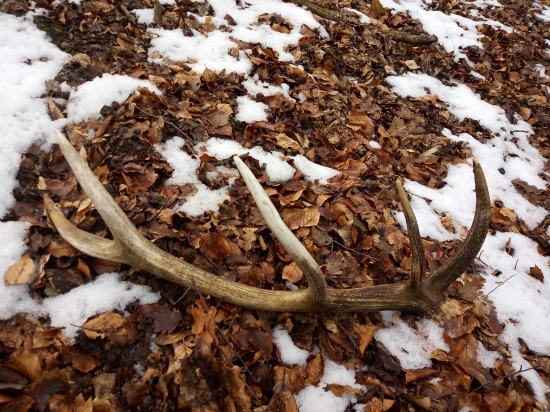 Čakal vyše roka, ale veľmi potešil