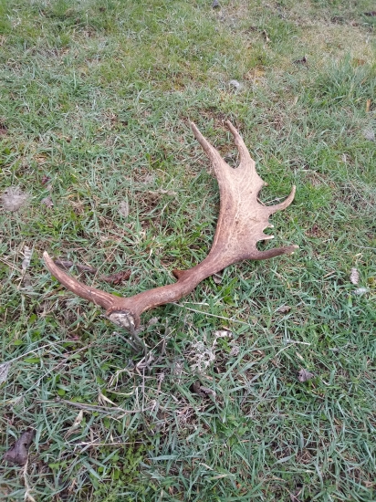 Ďalšie pekné ráno