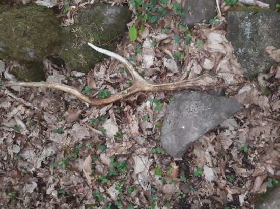 Dnešná prechádzka