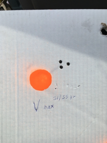 test 22-250rem vmax norma