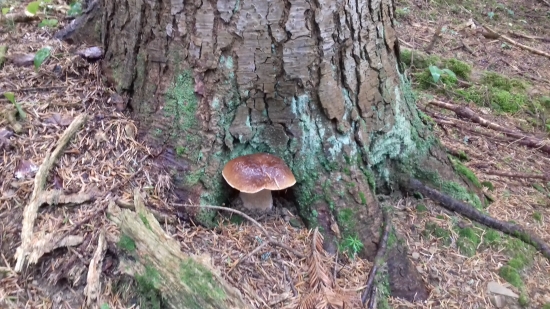 -Mám Ťa rád!  - Aj ja Ťa mám rád!