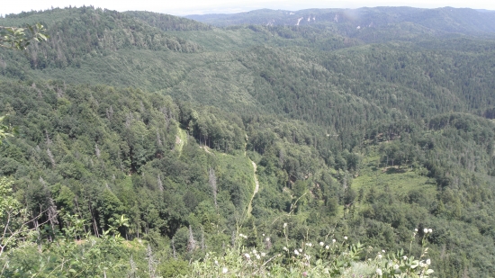 Slovenský raj