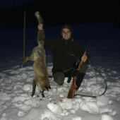 Prvý bronzový lišiak