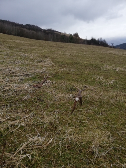 Tak by to mohlo byť vždy...