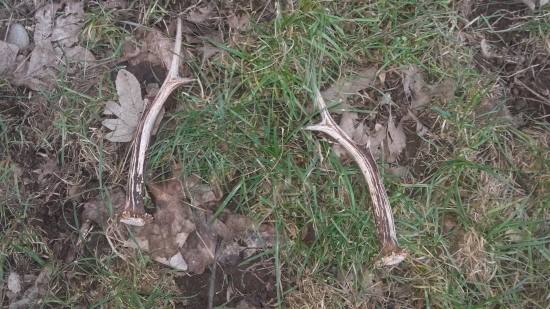 jak na nový rok tak po celý rok