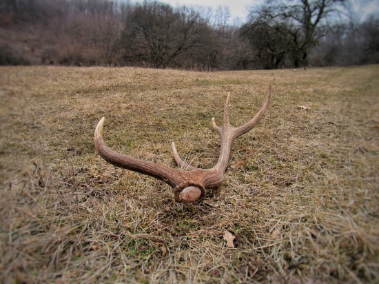 Hneď je ráno krajšie