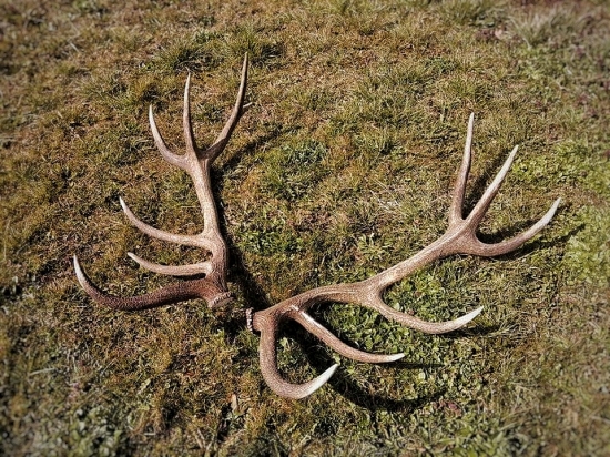 Po 8 dňoch konečne spolu