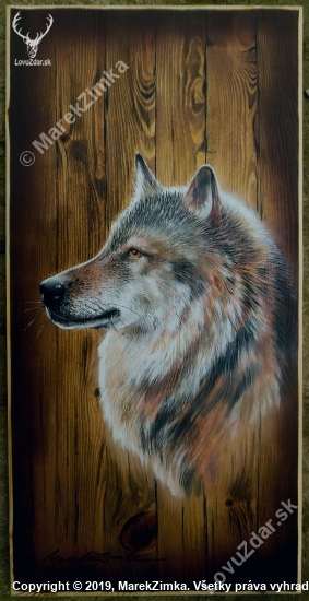 Vlk, portrét