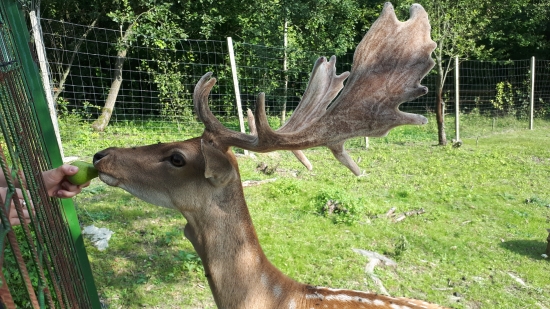 Čo na neho poviete?