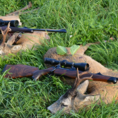 Krásne augustové ráno