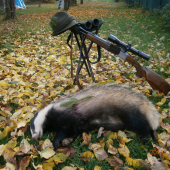 Stará jazvečica