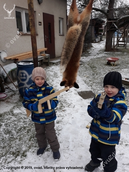 Malí poľovníci so silvestrovským lišiakom