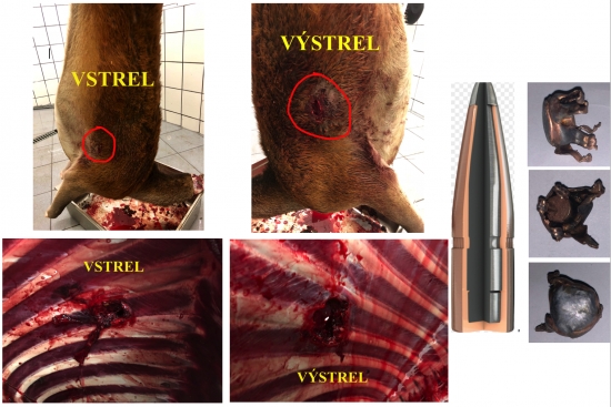 Prebijaný-Interlock Hornady 338WM -