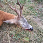 Myslim, ze moze byt...