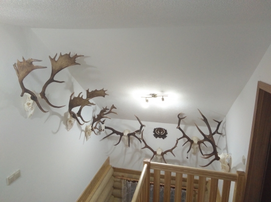 Nieco pribudlo z roku 2018