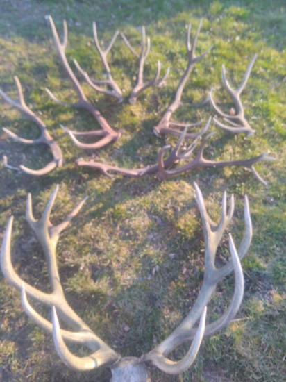 Keď sa zadarí deň