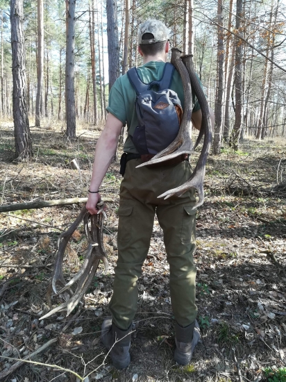 Keď sa z hory drevo tíško zváža ...