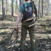 Keď sa z hory drevo tíško zváža ...