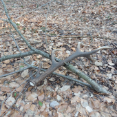 Vie, ako má zhodiť