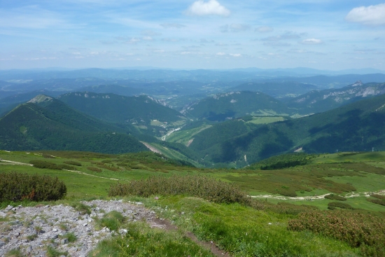 malofatranská