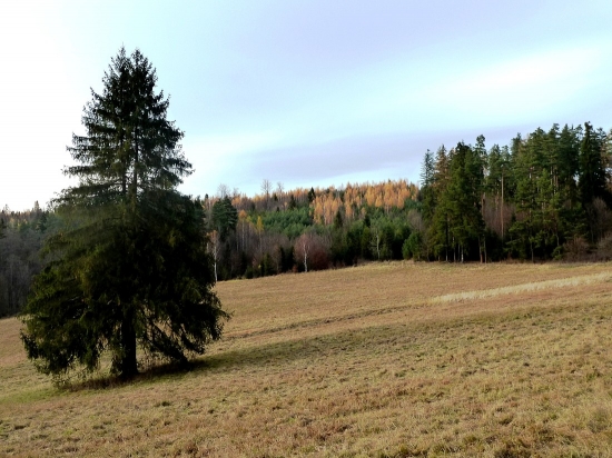 BIKŠOVKA v jeseni