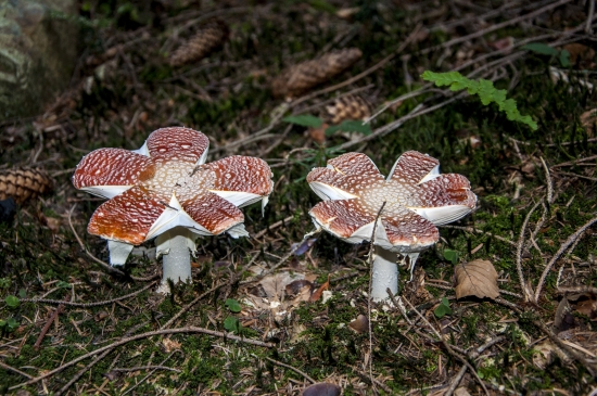 ...i vody by už bolo treba...