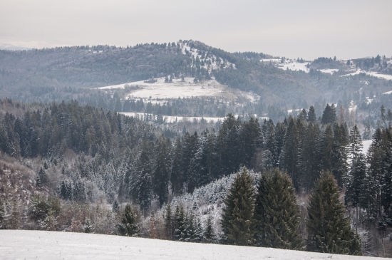Dnes ráno