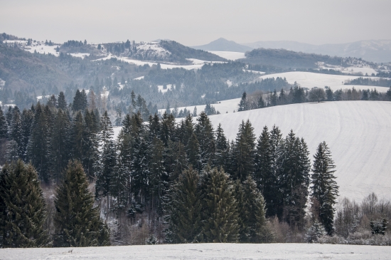 Decembrová