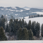 Decembrová