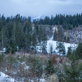 Jačmenište