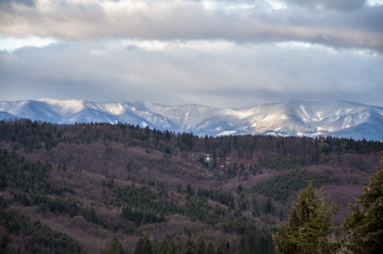 Plavno