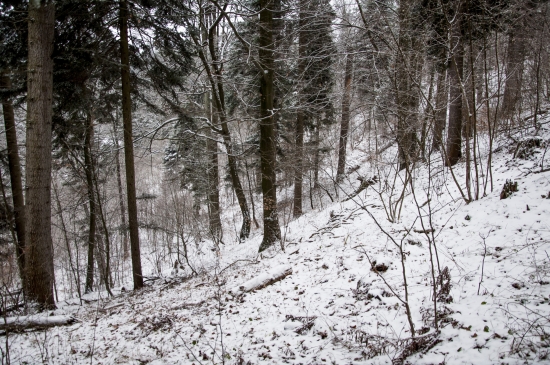 Vašarnica