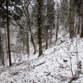 Vašarnica